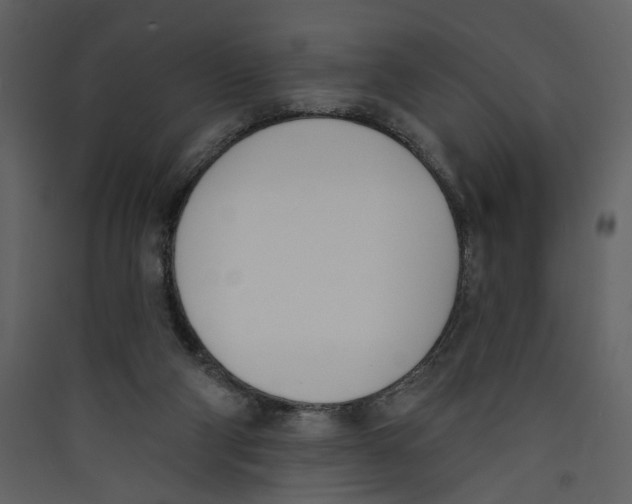 X0000089390114200707131727