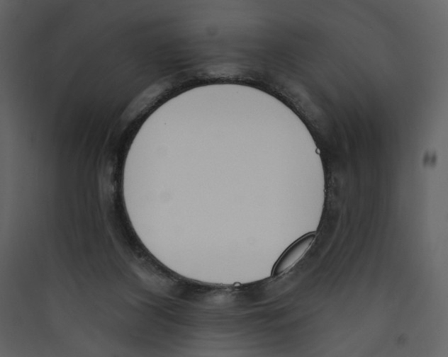 X0000089390116200707131727