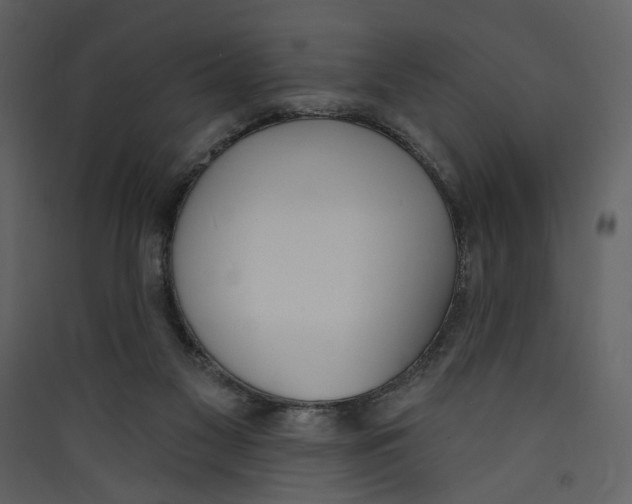 X0000089390117200707131727