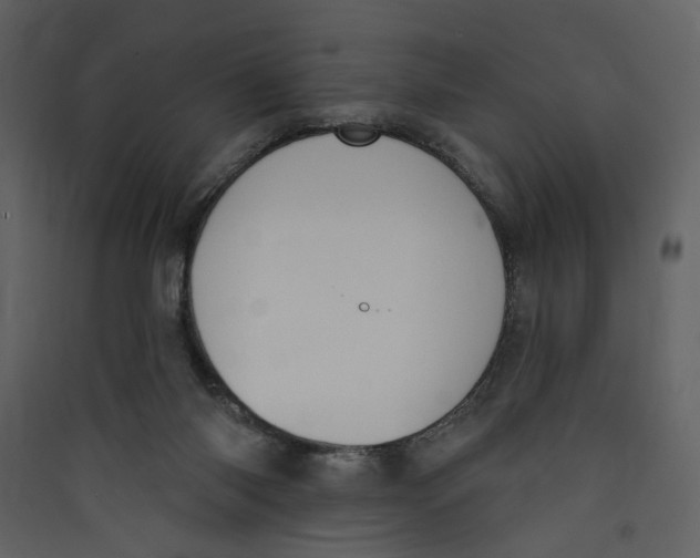 X0000089390118200707131727
