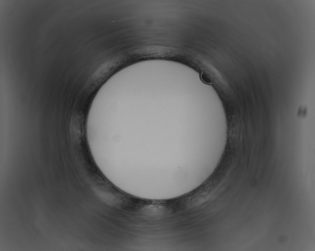 X0000089390119200707131727