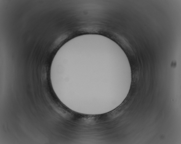 X0000089390120200707131727