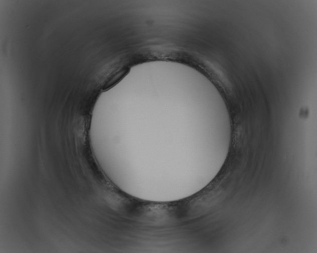 X0000089390121200707131727