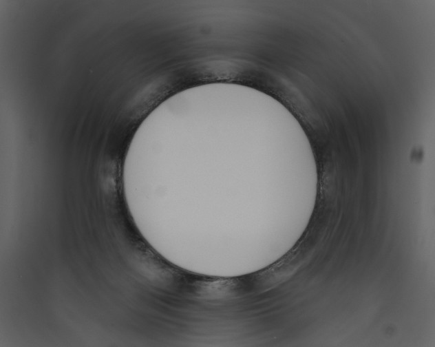 X0000089390122200707131727