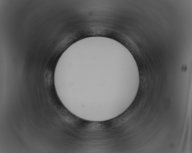 X0000089390123200707131727