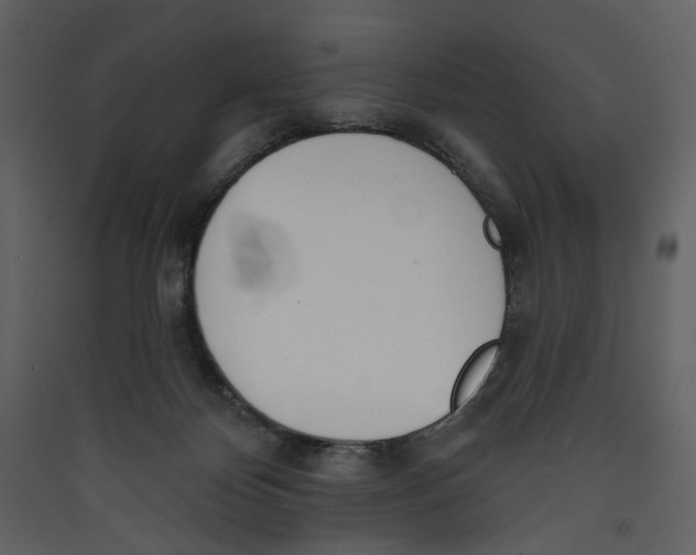 X0000089390124200707131727