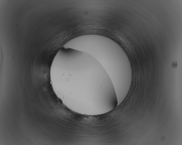 X0000089390125200707131727