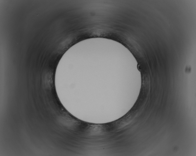 X0000089390127200707131727