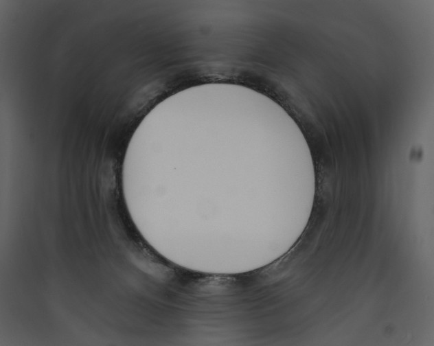 X0000089390128200707131727
