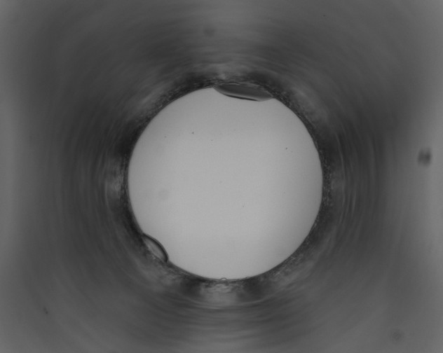X0000089390129200707131727