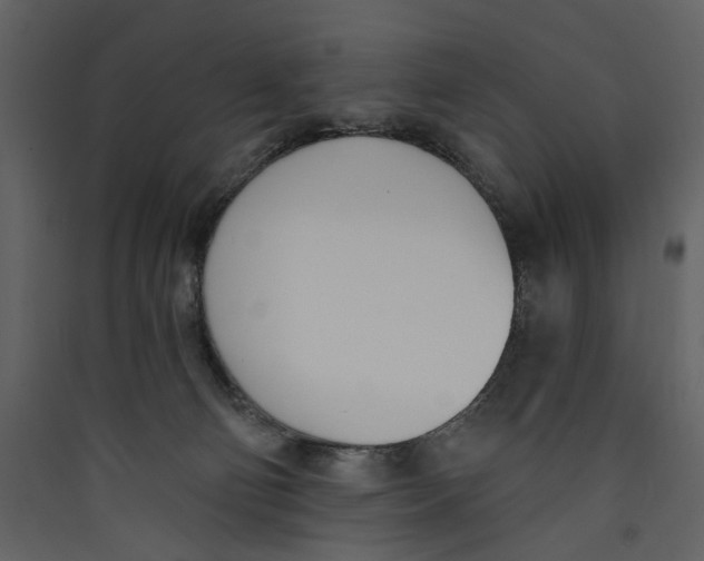 X0000089390130200707131727