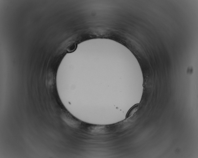X0000089390132200707131727