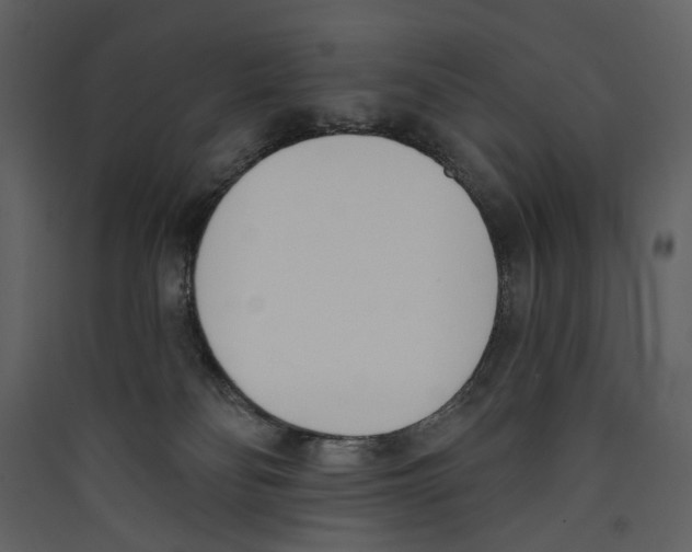 X0000089390134200707131727