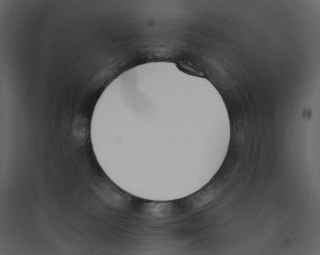 X0000089390135200707131727