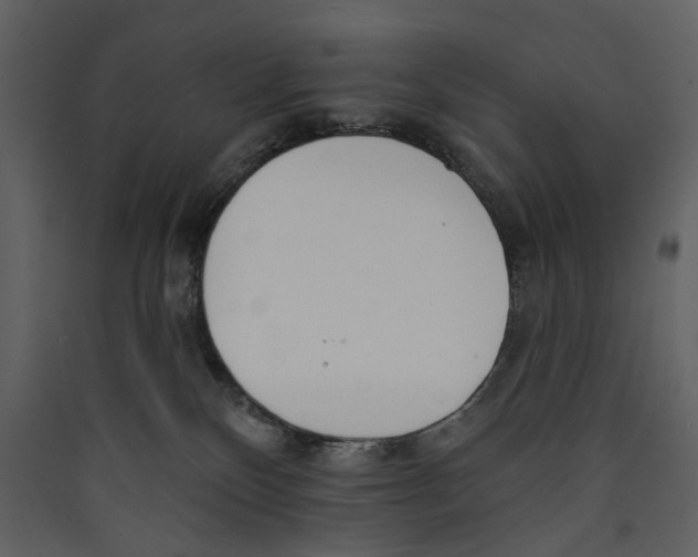 X0000089390136200707131727