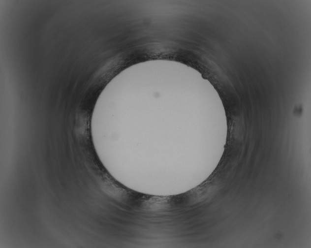 X0000089390138200707131727