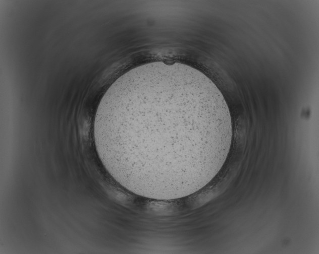 X0000089390139200707131727