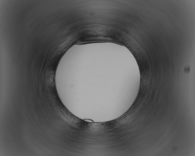 X0000089390141200707131727