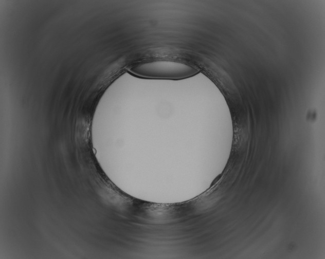 X0000089390142200707131727