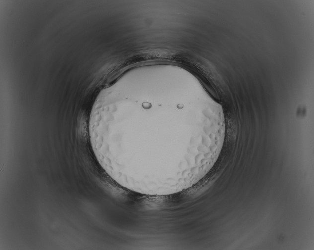 X0000089390143200707131727