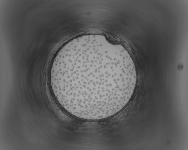 X0000089390145200707131726