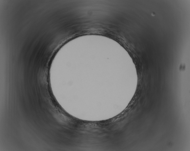 X0000089390146200707131726
