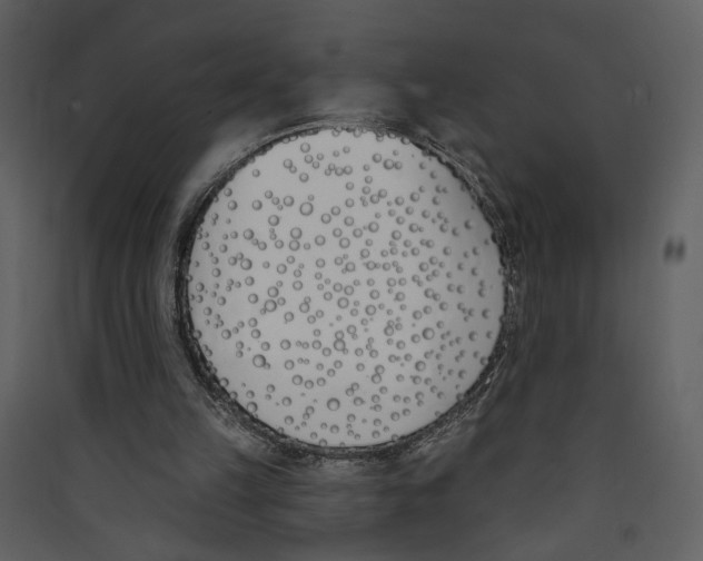X0000089390149200707131726