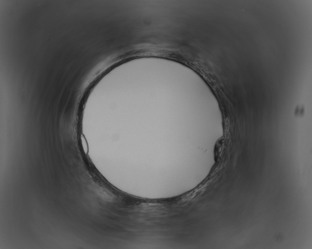 X0000089390150200707131726