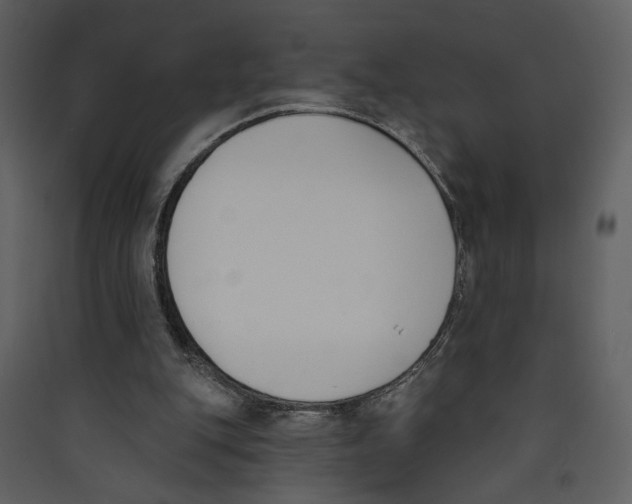 X0000089390151200707131726