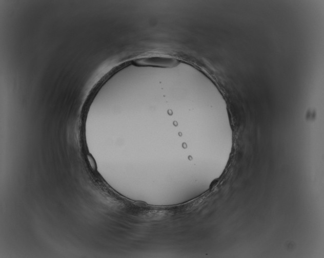 X0000089390152200707131726