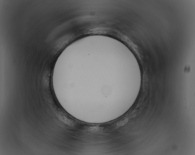 X0000089390153200707131726