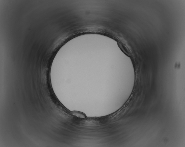 X0000089390154200707131726