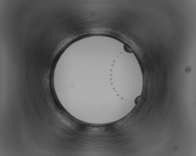 X0000089390155200707131726