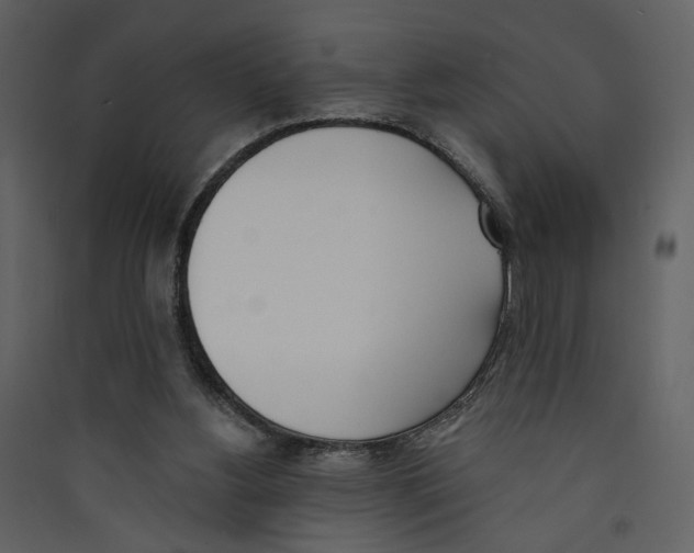 X0000089390156200707131726