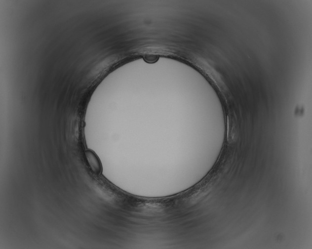 X0000089390157200707131726