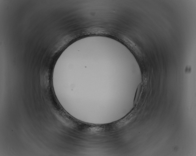 X0000089390158200707131726