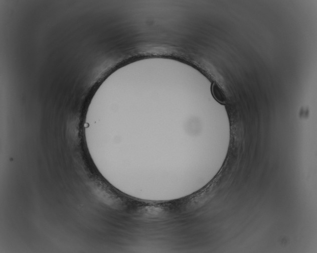 X0000089390159200707131726