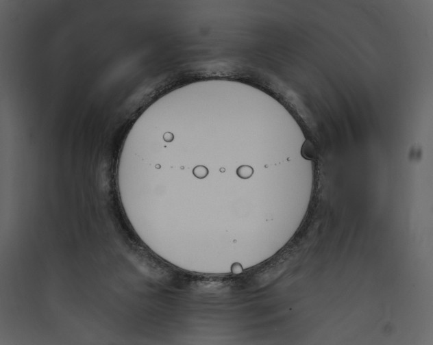 X0000089390161200707131726