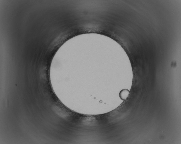 X0000089390162200707131726