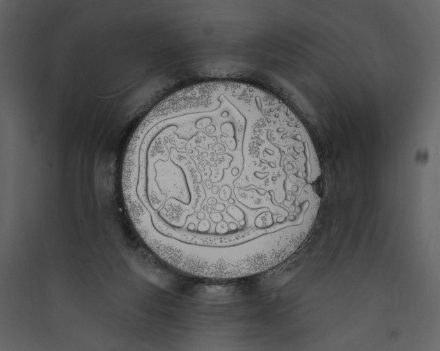 X0000089390163200707131726
