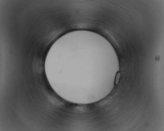 X0000089390164200707131726