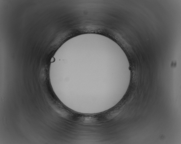 X0000089390165200707131726