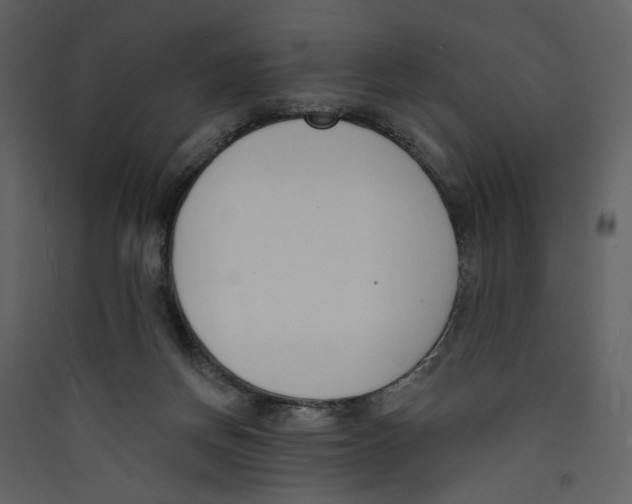 X0000089390166200707131726