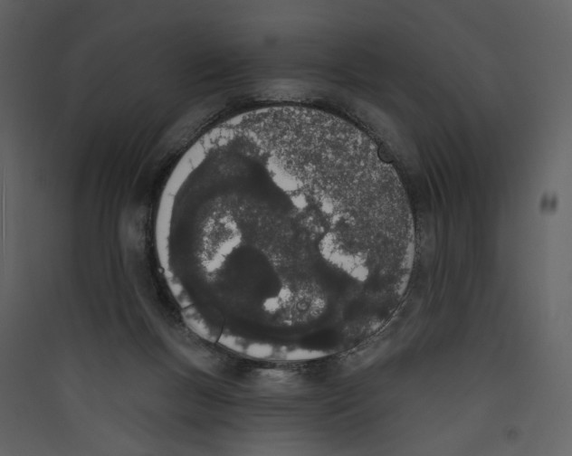 X0000089390167200707131726