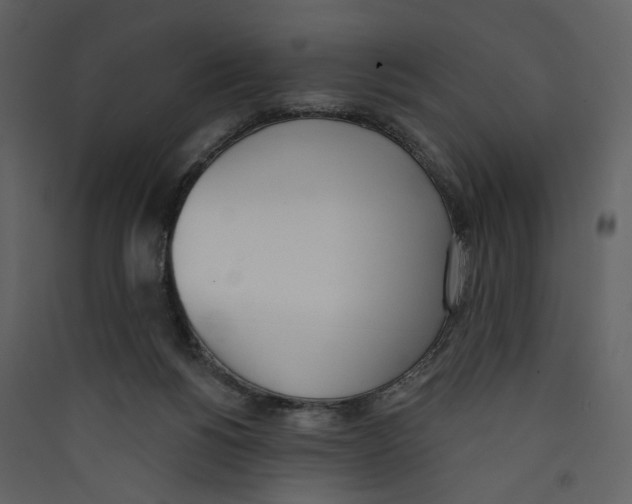 X0000089390168200707131726