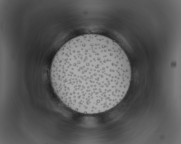X0000089390169200707131726