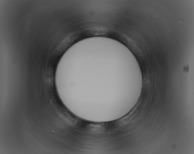 X0000089390170200707131726