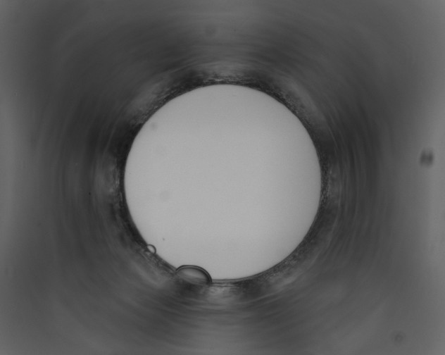 X0000089390173200707131726