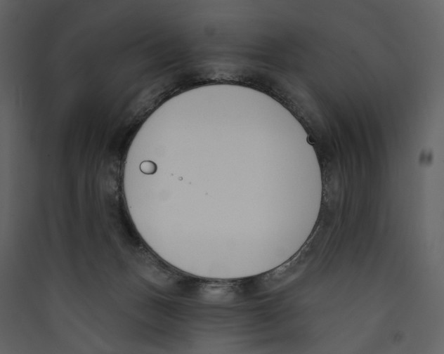 X0000089390175200707131726