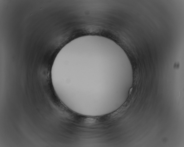 X0000089390176200707131726